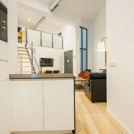 Modern Duplex 2b 2bath Historic Centre