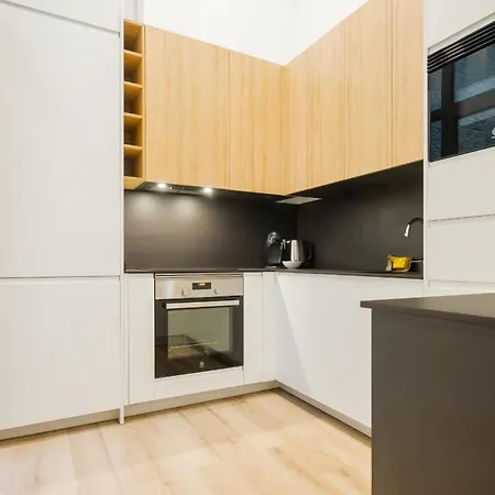 Apartment Modern Duplex 2b 2bath Historic Centre *